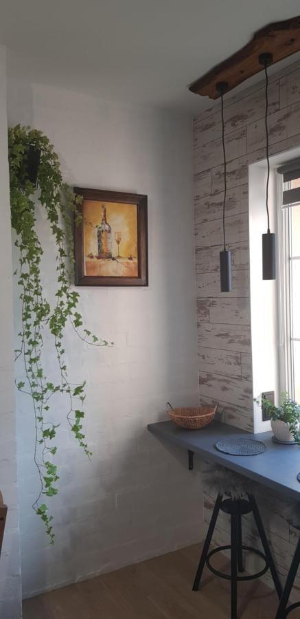 Dailidziu Apartamentai Κλαϊπέντα Εξωτερικό φωτογραφία